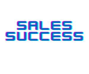 successful I.T. Sales